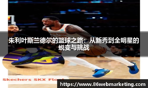 3377体育官网